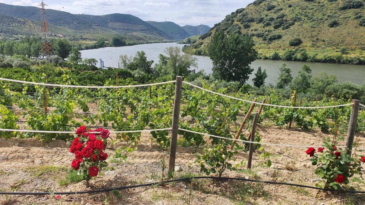 Affittacamere Olhares Do Douro Torre De Moncorvo Esterno foto