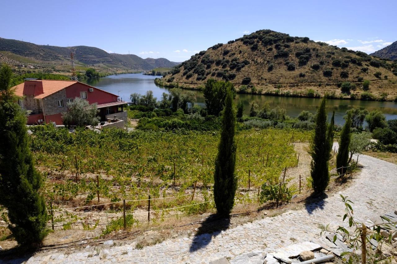 Affittacamere Olhares Do Douro Torre De Moncorvo Esterno foto