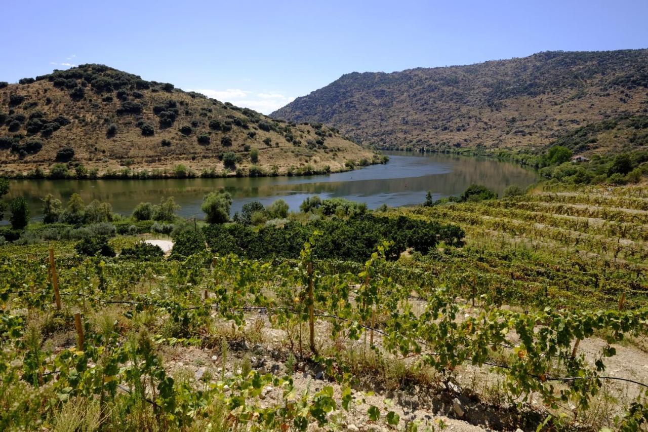 Affittacamere Olhares Do Douro Torre De Moncorvo Esterno foto
